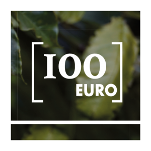 GUTSCHEIN · 100 EURO