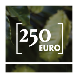 GUTSCHEIN · 250 EURO